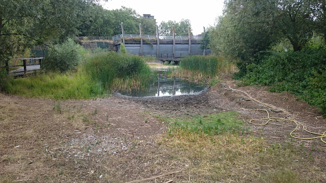 Ecology Pavilion pond empty of water from poor maintenance, Mile End Park
