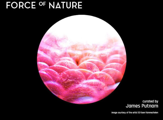 Force Of Nature: Exhibition Art Pavilion 5th March-9th April 2017 12-6PM daily, Mile End Park