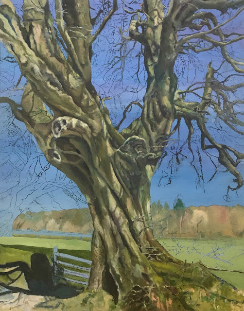 Painting of Somerset Beech Tree by Rosy Marshall