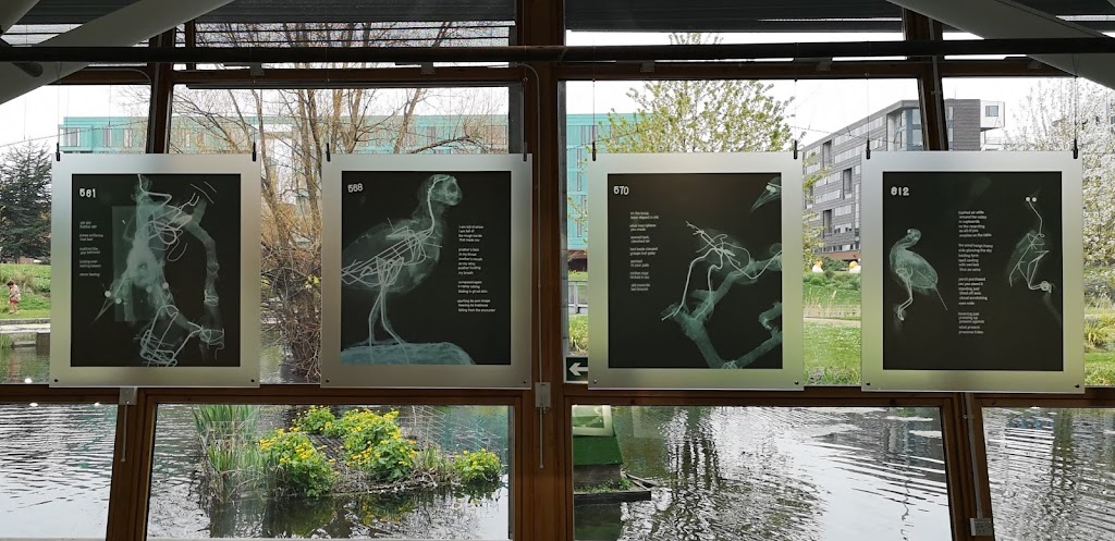 Four x-ray styled art woks mounted to use light from out in the Art Park