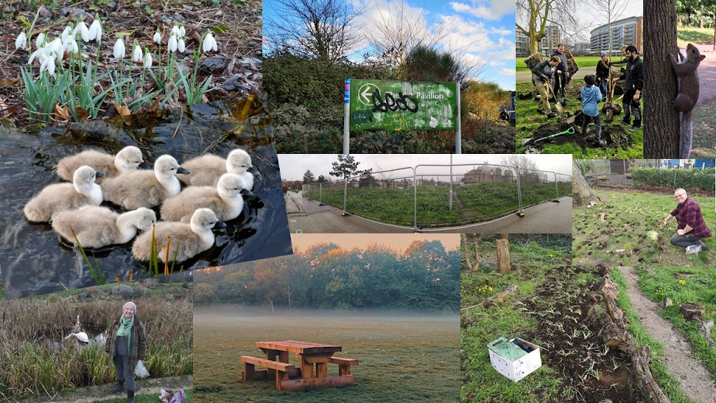 Collage of swans, bulbs, snowdrops, misty sunrise and squirrel climbing a tree