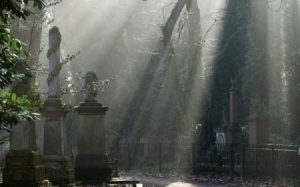 Rays of light pour through the tree canopy onto monuments and graves