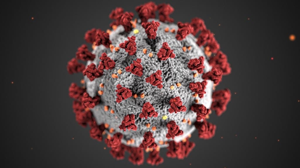 Model of Coronavirus