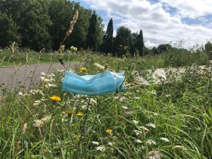 Covid Mask in wildflower field in Mile End Park