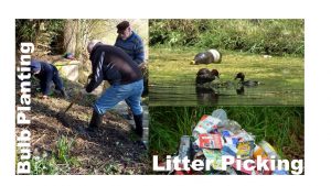 Men bulb planting with litter in pond and in a pile