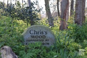 Chris' Wood, Mile End Park