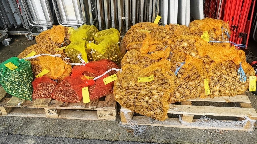 Bluebells, snowdrops, daffs and other bulbs await planting