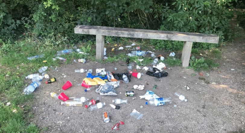 Litter surrounding seat