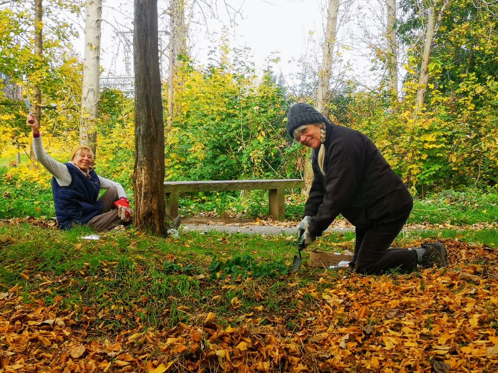 Volunteers Bulb Planting in Chris' Wood, Mile End Park