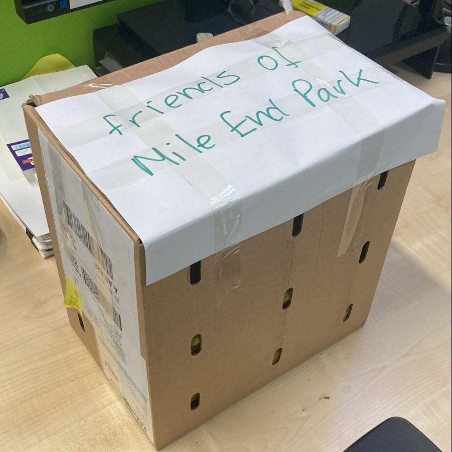 Box of woodland bulbs