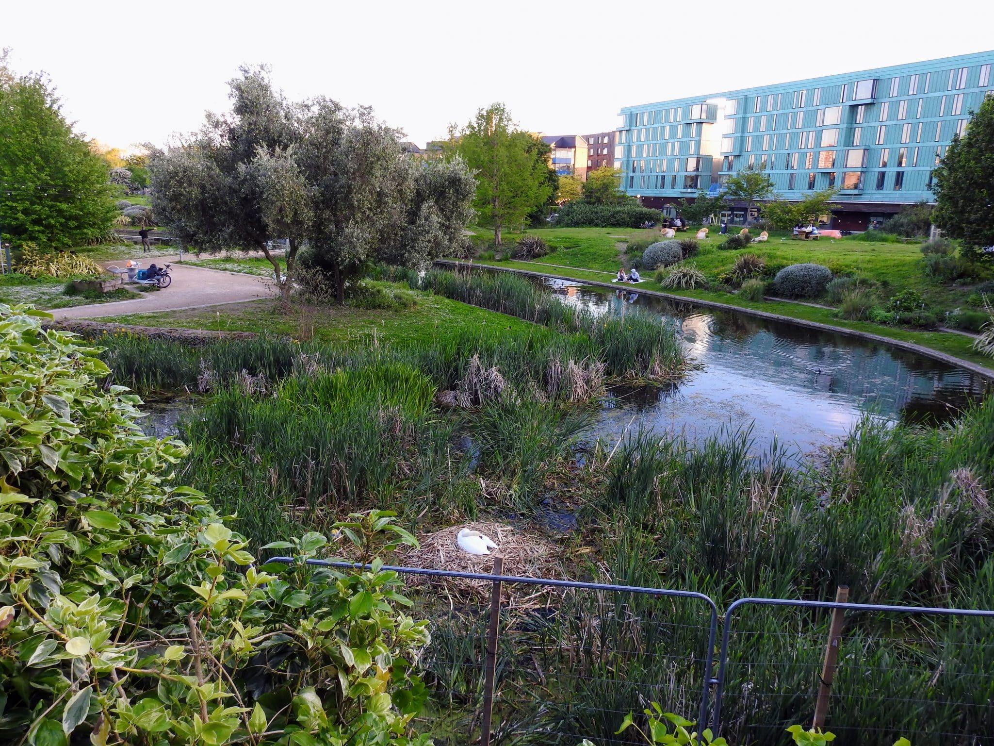 Mile End Art Park Pond May 2024