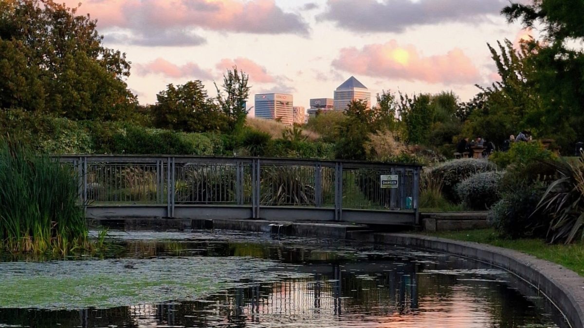 The Art Pavilion Pond in the September light