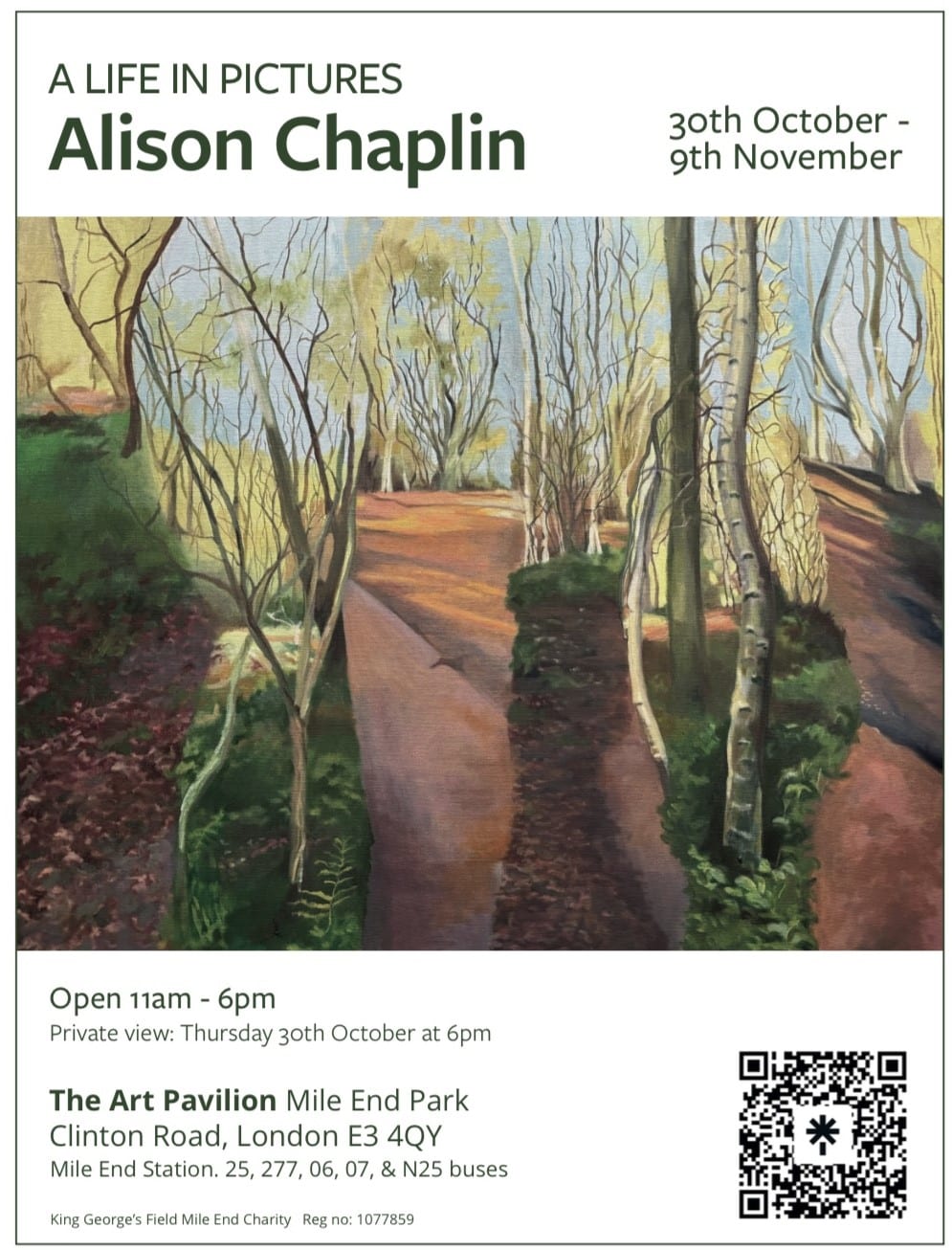 Art_Pavilion_Exhibition_Alison_Chaplin