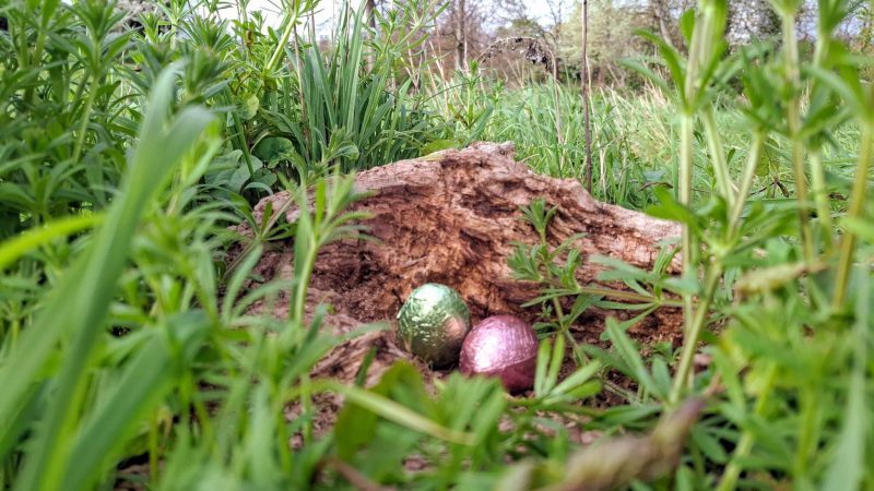 Abandoned chocolate eggs