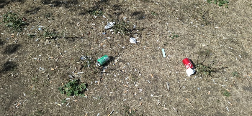 Cigarette butts littering the park